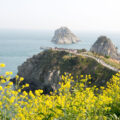 제주 명소