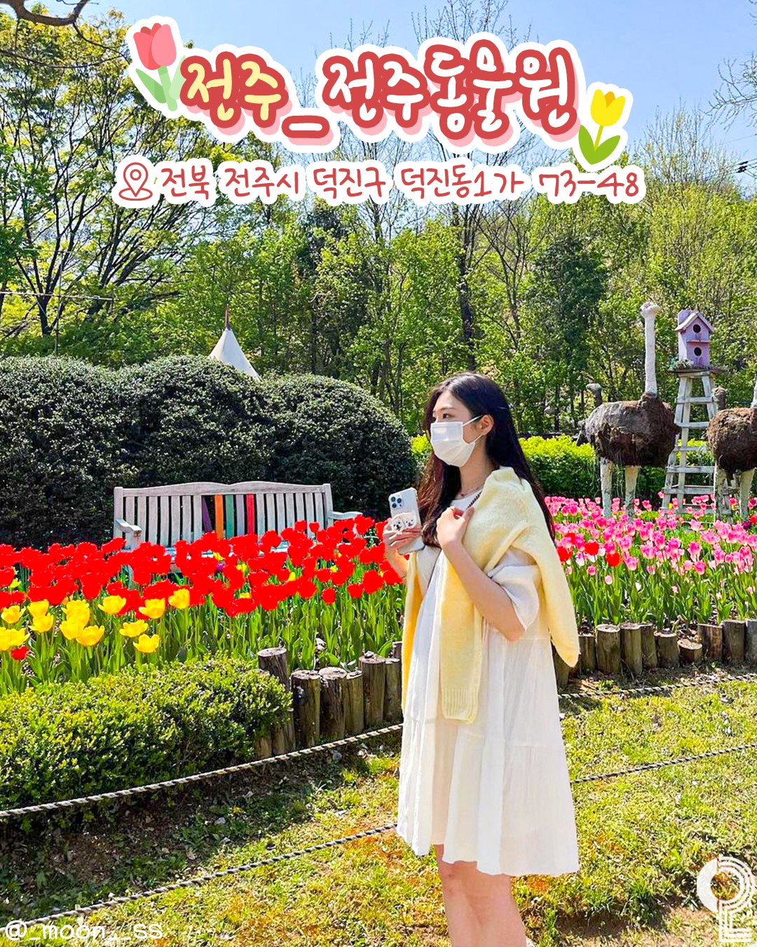 all.about .jeonju 1743066040 3597421057213383049 3692378061