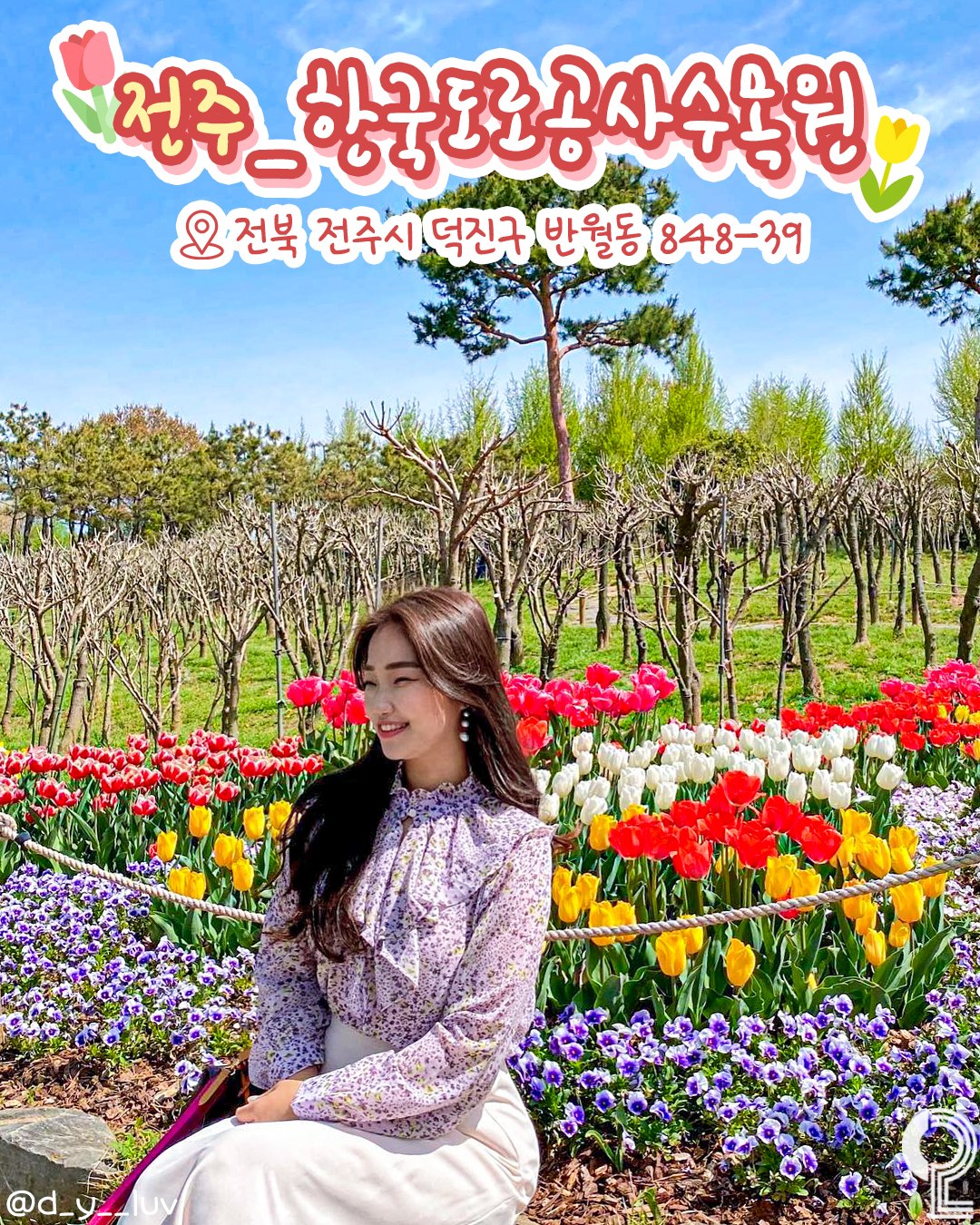 all.about .jeonju 1743066040 3597421057691482632 3692378061