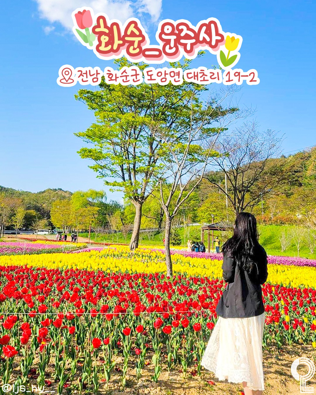 all.about .jeonju 1743066040 3597421057758644102 3692378061