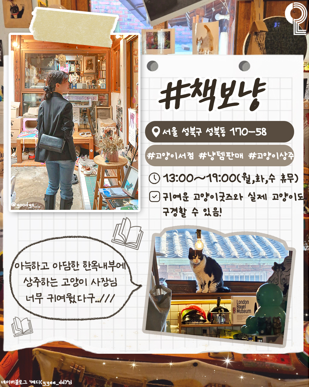 all.about .seoul .trip 1748230596 3640744571130275241 3176431025