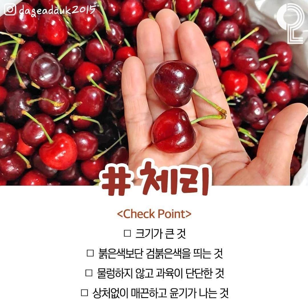 cheongjeul 1080w 4