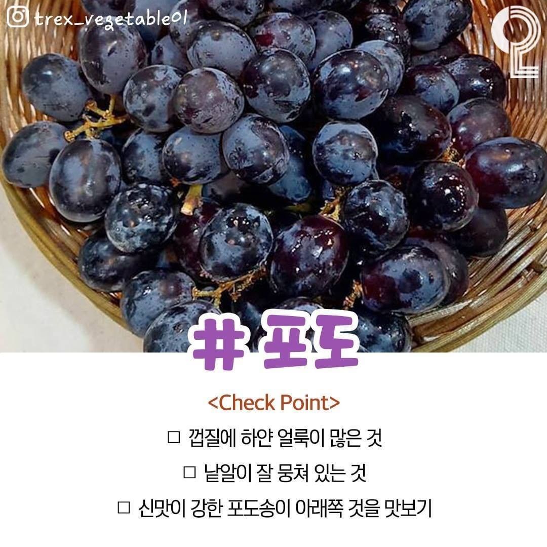 cheongjeul 1080w 5