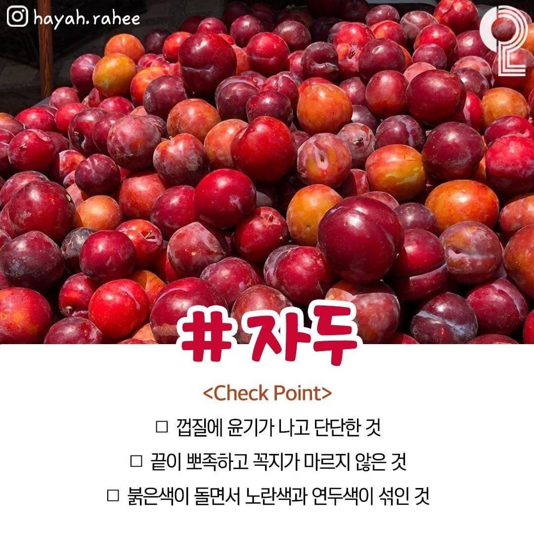 cheongjeul 1080w 7