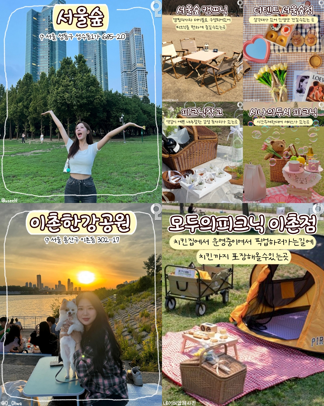 collage5
